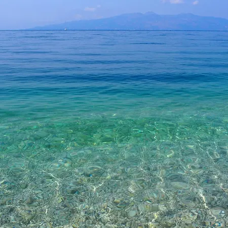 Summer Coast *